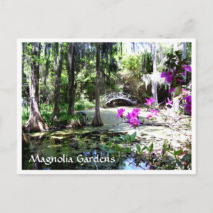Postal Jardines de la plantación Magnolia Charleston SC P