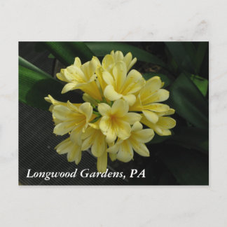 Postal Jardines de Longwood, PA