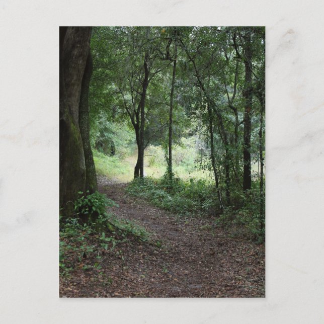 Postal Jardines de Maclay (Anverso)