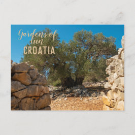 Postal Jardines de oliva de Lun