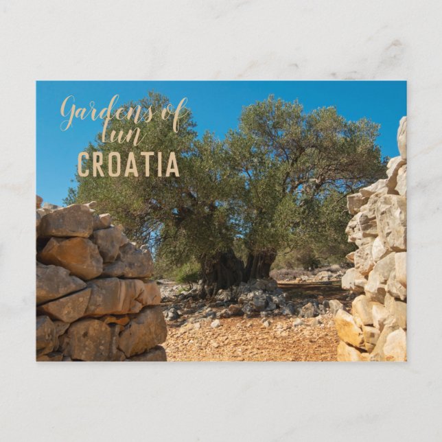 Postal Jardines de oliva de Lun (Anverso)