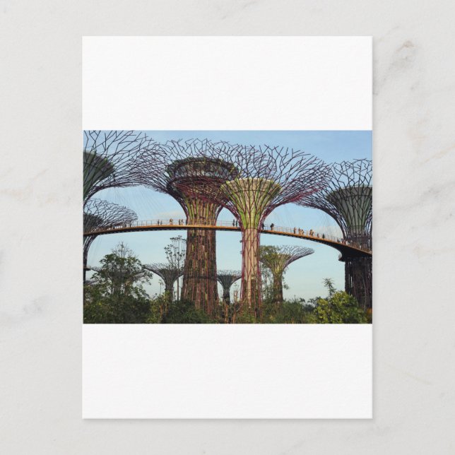 Postal Jardines en la bahía de la Superarca de Singapur (Anverso)