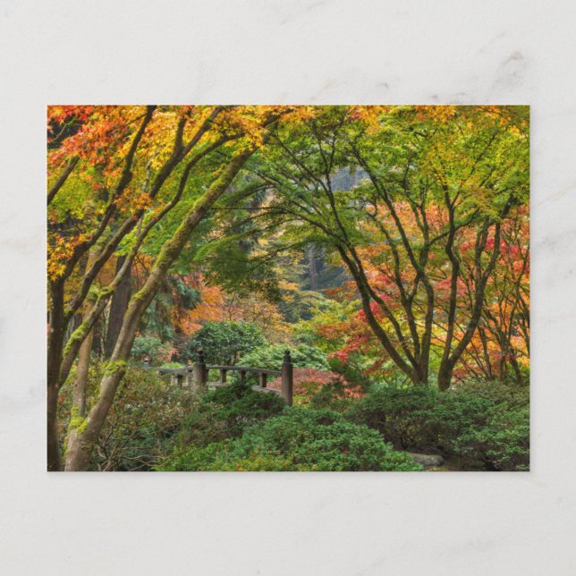 Postal Jardines Japoneses En Otoño En Portland, Oregón 4 (Anverso)