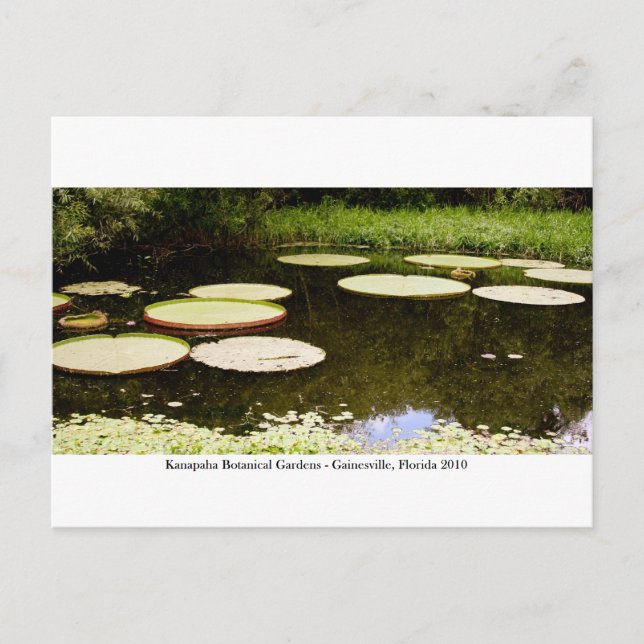 Postal Jardines Kanapaha - Gainesville 001 (Anverso)