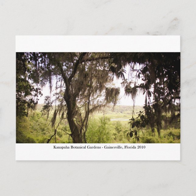 Postal Jardines Kanapaha - Gainesville 009 (Anverso)