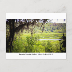 Postal Jardines Kanapaha - Gainesville 012