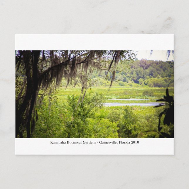 Postal Jardines Kanapaha - Gainesville 012 (Anverso)