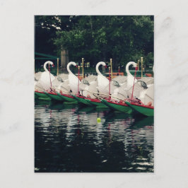 Postal Jardines públicos de Boston Botes de Cisne