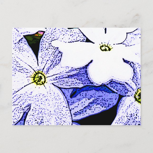 Postal Jasmine (Anverso)