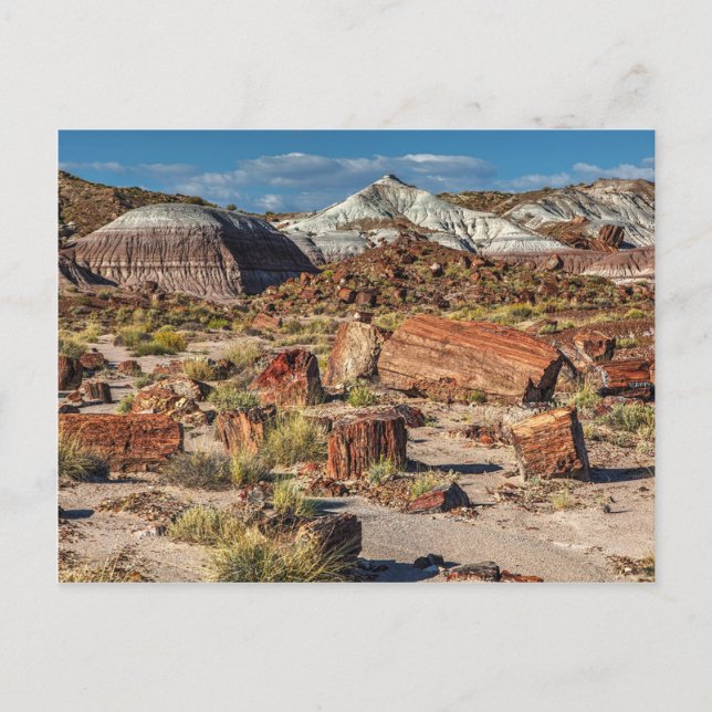 Postal Jasper Forest (Anverso)