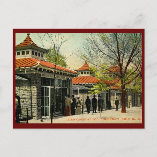 Postal Jaulas de aves en el zoológico, Cincinnati, OH Vin (Anverso)