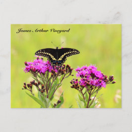 Postal JAV Blackswallow Tail Butterfly 2013 PC 1