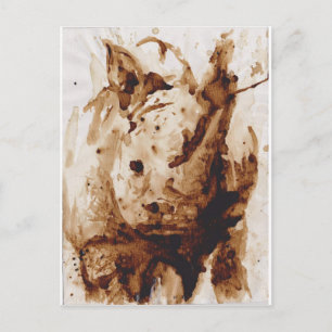 Postal Java Rhino