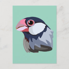 Postal Java Sparrow: simplificado