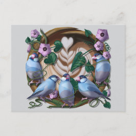 Postal Java Sparrows, Java Coffee