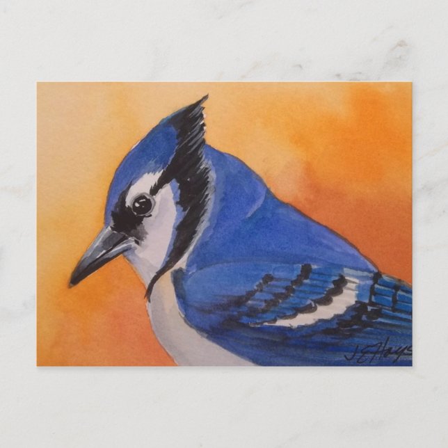 Postal Jay azul (Anverso)