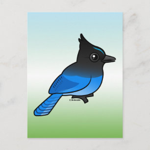 Postal Jay de Steller