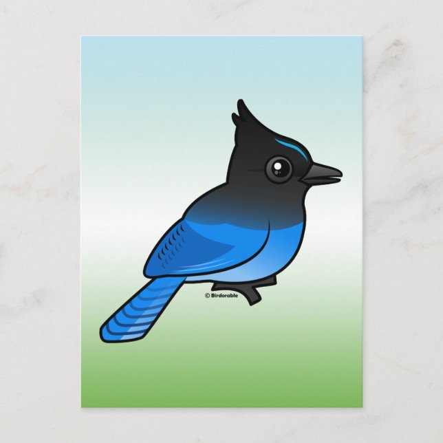 Postal Jay de Steller (Anverso)