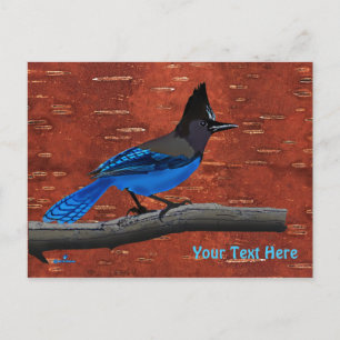 Postal Jay On Inner Birch Bark de Steller