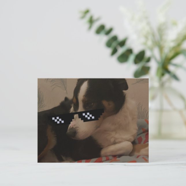 Postal Jay Postcard (Anverso de pie)