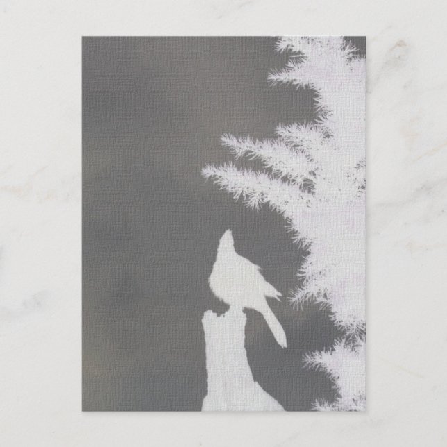 Postal Jay Silhouette de Steller (Anverso)