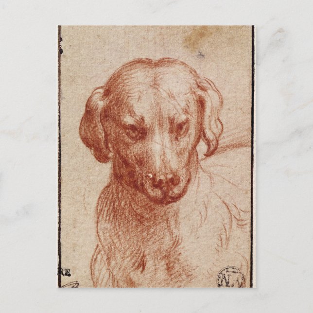 Postal Jefe de un perro (Anverso)