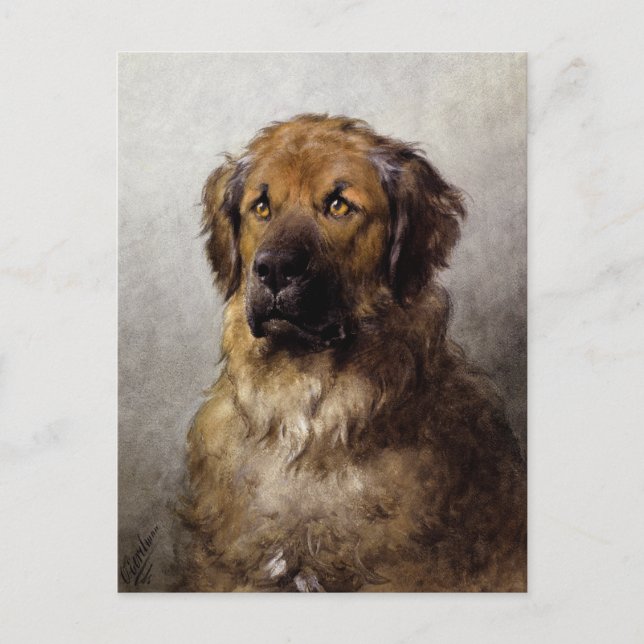Postal Jefe de una pintura de perro de Leonberger (Anverso)