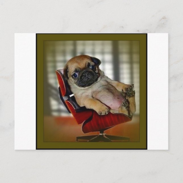 Postal ¡Jefe Pug! (Anverso)