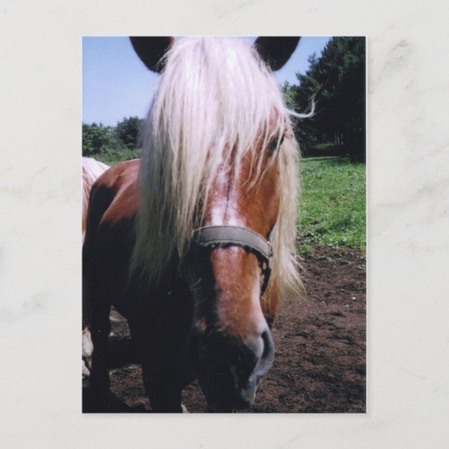 Postal Jeff (Anverso)