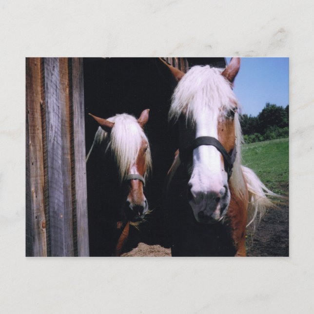 Postal Jeff et Kate (Anverso)