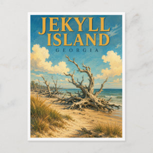 Postal Jekyll Island Georgia Driftwood Beach GeoSaga