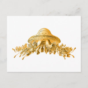 Postal Jellyfish