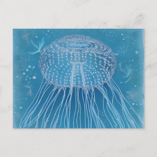 Postal Jellyfish congelado