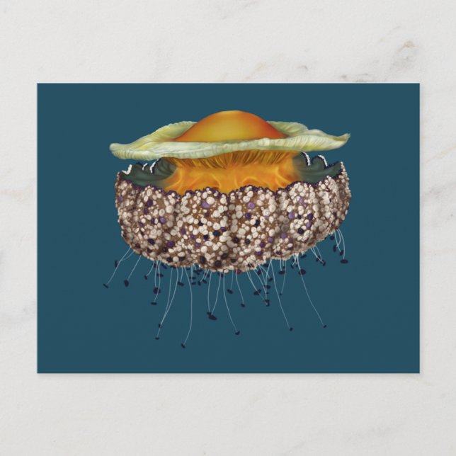 Postal Jellyfish de huevo frito ilustrado (Anverso)
