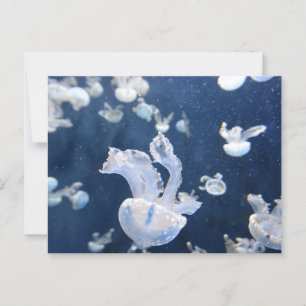 Postal Jellyfish en el océano