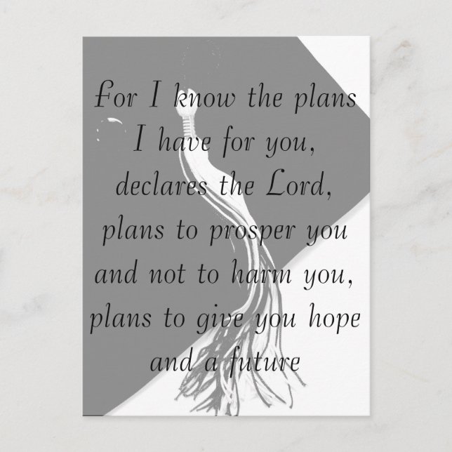 Postal Jeremiah 29:11 Postcarta de graduación (Anverso)