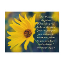 Jeremías 29:11, conozco los planes que tengo para