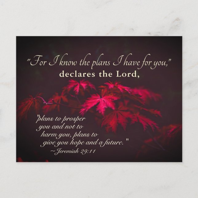Postal Jeremías 29:11 Porque conozco los planes que tengo (Anverso)