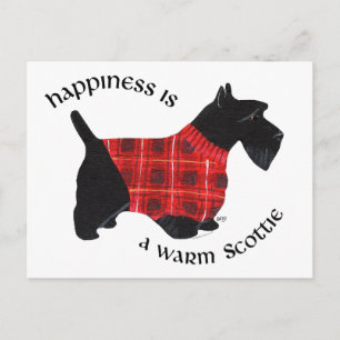 Postal Jersey de Cuadros Rojos y Negros para Terrier Esco