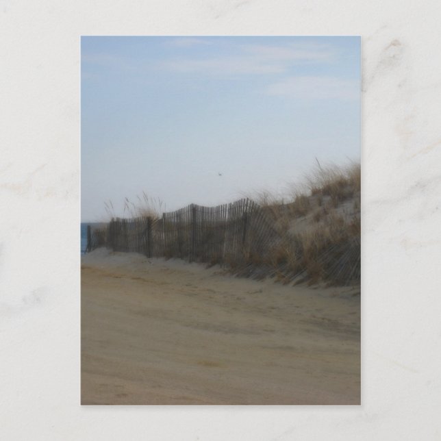 Postal Jersey Shore * Softed Beach (Anverso)