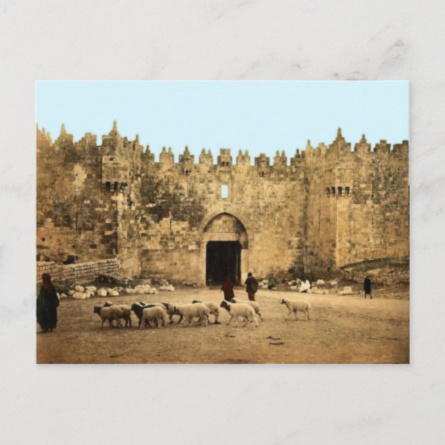 Postal Jerusalén - Puerta de Damasco (Anverso)
