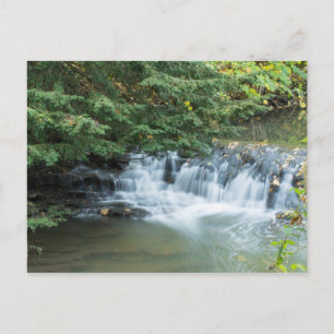 Postal Jesmond Dene