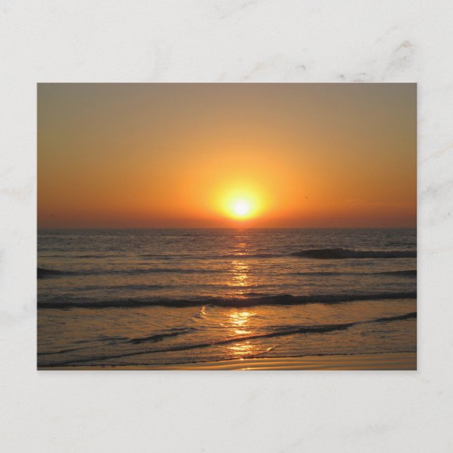 Postal Jess&apos; Pix 146_3 (Anverso)