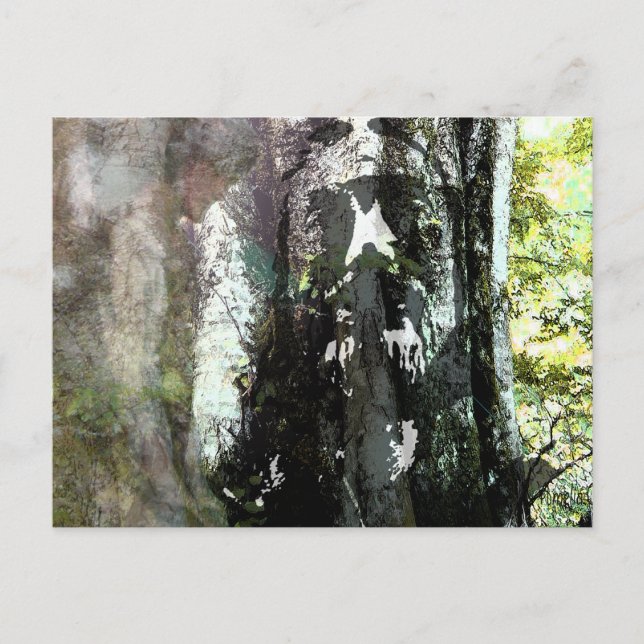 Postal Jesús y el árbol (Anverso)