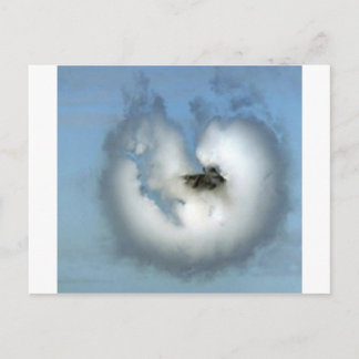 POSTAL JET FIGHTER EN VAPOR