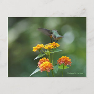 Postal Jewel bailarín