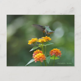 Postal Jewel bailarín