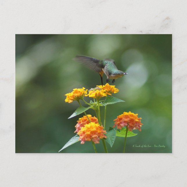 Postal Jewel bailarín (Anverso)