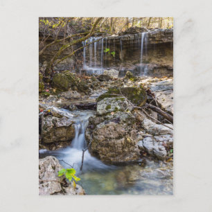 Postal Jewel de Henning Conservation Blank Post Card