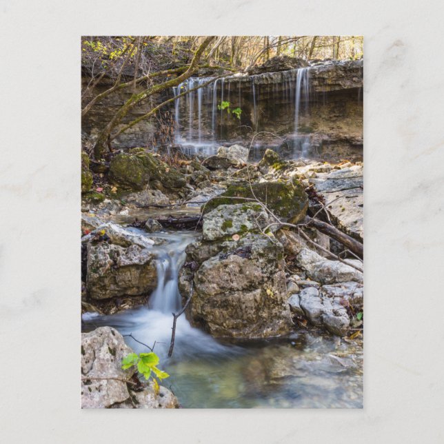 Postal Jewel de Henning Conservation Blank Post Card (Anverso)